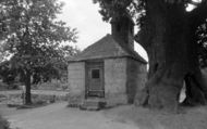 Ye Village Cage 1958, Lingfield