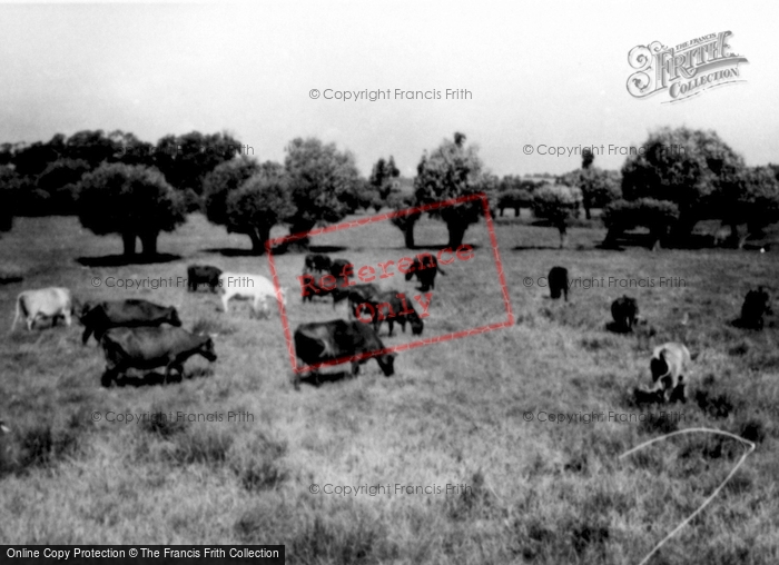 Photo of Linslade, The Meadows c.1960