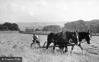 Linton, Haytime c1955