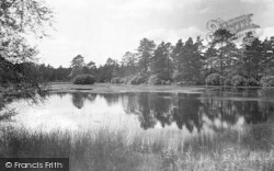 Forest Mere 1932, Liphook
