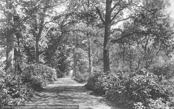 Photo of Liphook, Fowley Avenue 1901