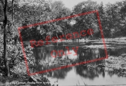 Fowley Pond 1901, Liphook