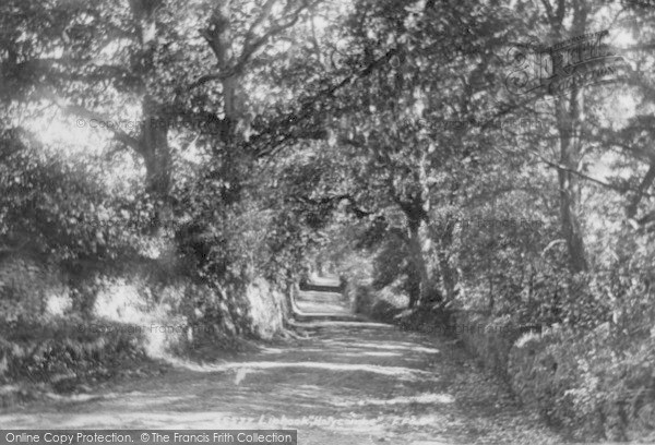 Photo of Liphook, Hollycombe 1901