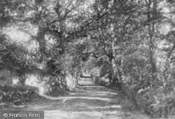 Hollycombe 1901, Liphook