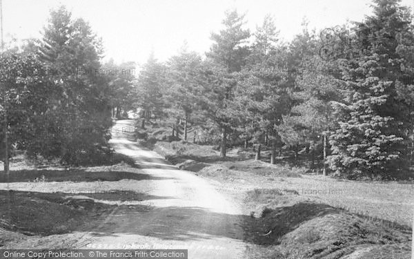 Photo of Liphook, Hollycombe 1901