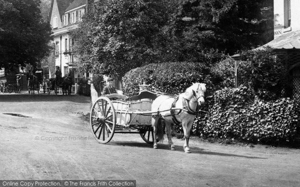 Photo of Liphook, Horse And Cart 1906