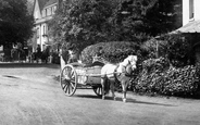Horse And Cart 1906, Liphook