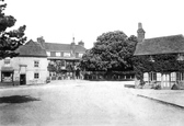 The Horse Chestnut Tree 1901, Liphook
