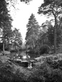 Wylds Pond 1934, Liss