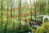 Bridge In Keukenhof Gardens 1999, Lisse