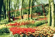 Keukenhof Gardens 1999, Lisse
