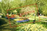 Keukenhof Gardens 1999, Lisse