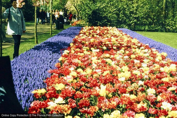 Photo of Lisse, Keukenhof Gardens, Tulips 1999
