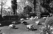 Lower Tea Gardens c.1960, Litlington