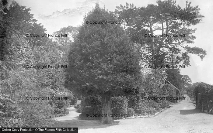 Photo of Litlington, Tea Gardens c.1950
