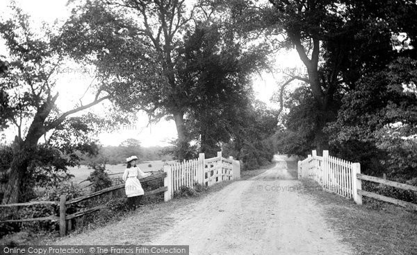 Photo of Little Baddow, Grace's Walk 1906