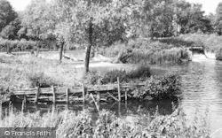 The River Chelmer c.1960, Little Baddow