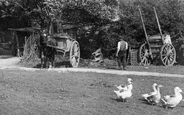 Geese On The Common 1906, Little Bookham