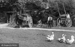 Geese On The Common 1906, Little Bookham