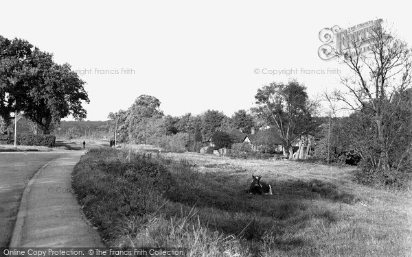 Photo of Little Bookham, General View c.1955