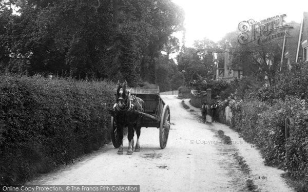 Photo of Little Bookham, Horse And Cart 1904