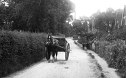 Horse And Cart 1904, Little Bookham