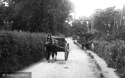 Horse And Cart 1904, Little Bookham