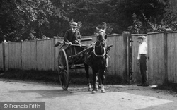 Horse And Trap 1904, Little Bookham