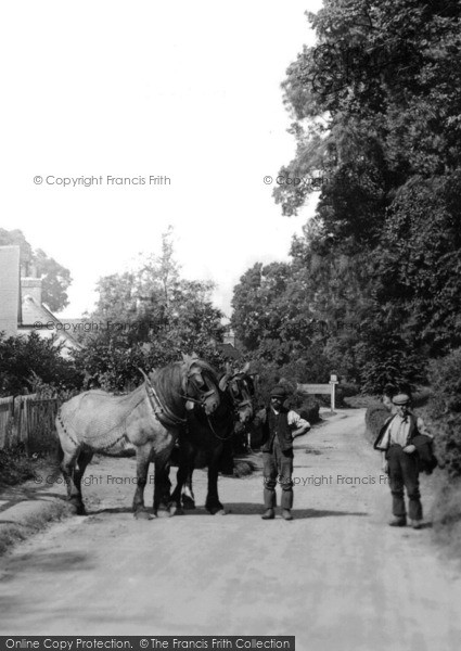 Photo of Little Bookham, Workhorses 1906