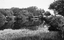 Oulton Mill Pool c.1960, Little Budworth