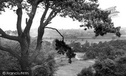 View From The Chase c.1960, Little Haywood