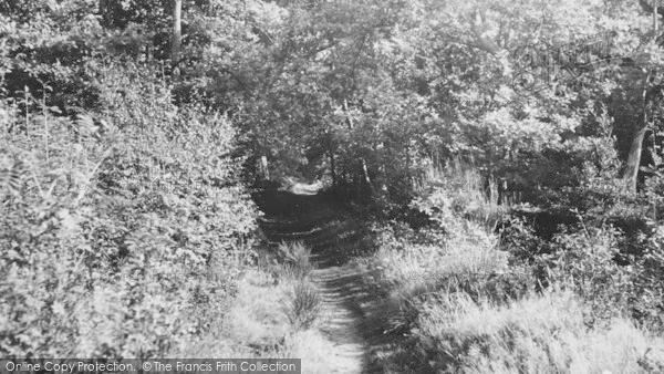 Photo of Little Sandhurst, The Woods c.1960