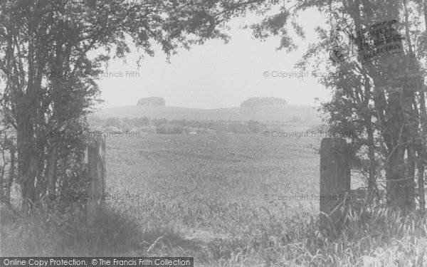 Photo of Little Wittenham, Wittenham Clumps c.1955