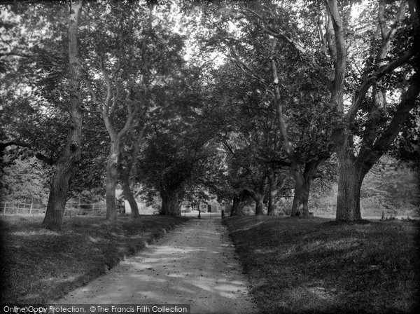 Photo of Littlebury, The Old Rectory Avenue 1919