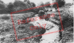 Llanarthney, River Gwynon c.1955, Llanarthne