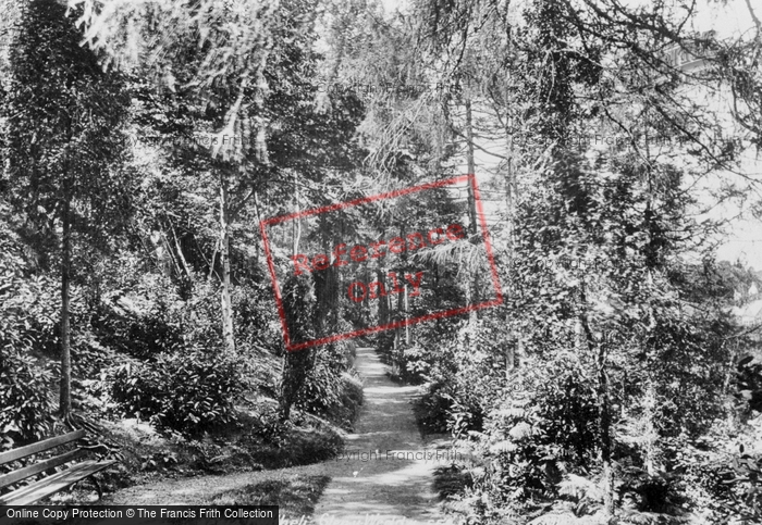 Photo of Llanbedrog, Glyn Y Weddw 1898