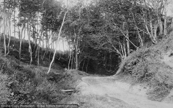 Photo of Llanbedrog, Road To Beach 1894