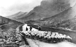 Driving Sheep Through The Pass c.1935, Llanberis