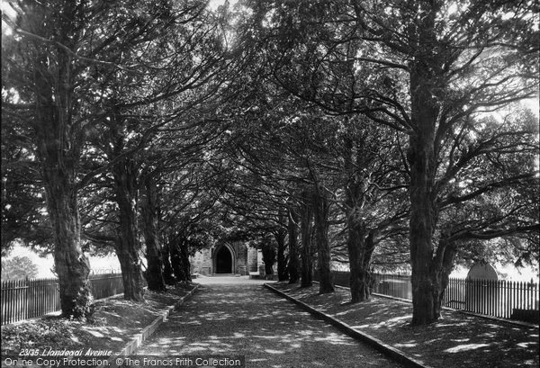 Photo of Llandegai, Church And Avenue 1890