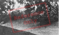 Deer Park c.1960, Llandeilo
