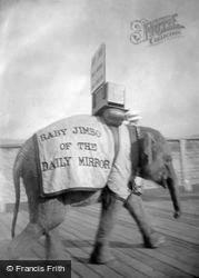 Baby Elephant 1913, Llandudno