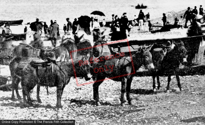 Photo of Llandudno, Beach Donkeys 1891