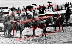 Beach Donkeys 1891, Llandudno