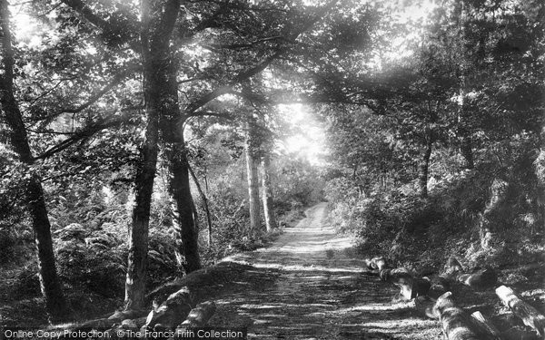 Photo of Llanelli, Entrance To Swiss Valley 1896