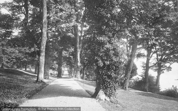 Photo of Llanfair Pwllgwyngyll, Plas Newydd, Avenue 1890
