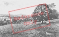 Bryn Yr Orsedd Rocks c.1955, Llanferres