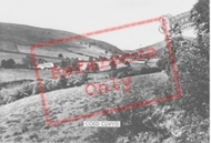 Coed Clwyd c.1955, Llanferres