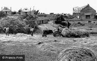 Haymaking c.1955, Llangwnnadl