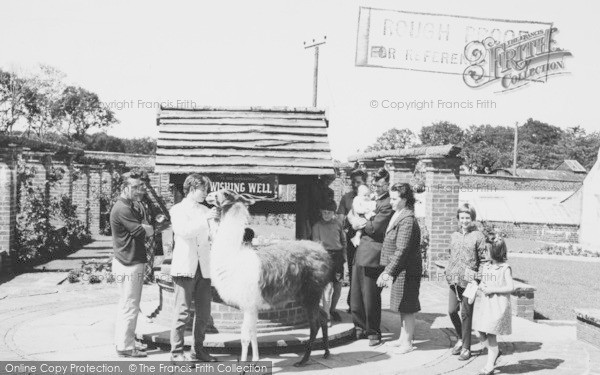 Photo of Llannerch Hall, Deer Park And Zoo, The Wishing Well c.1960