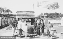 Deer Park And Zoo, The Wishing Well c.1960, Llannerch Hall